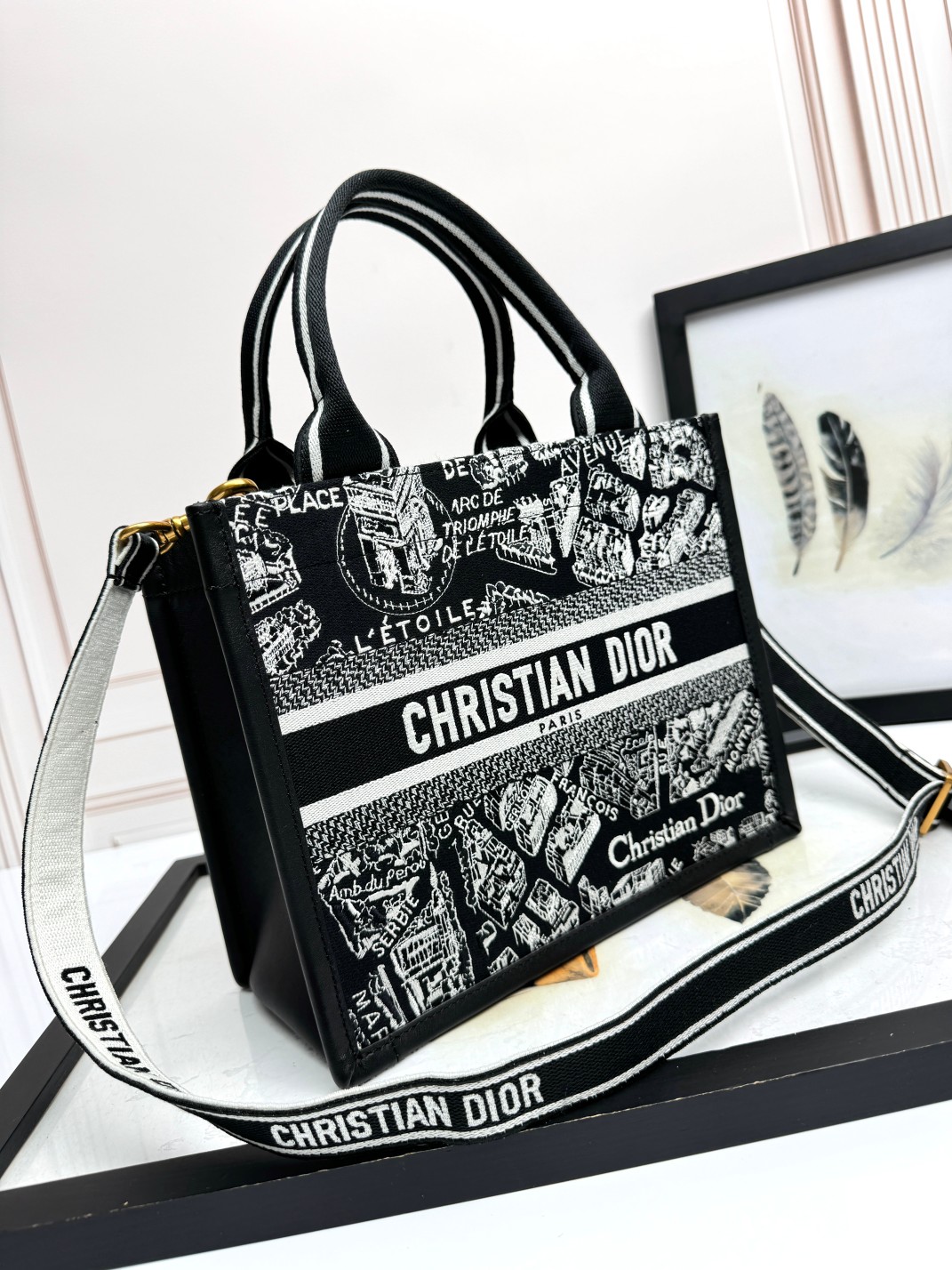 Small Dior Book Tote Bag Black and White Plan de Paris Embroidery with Black Calfskin